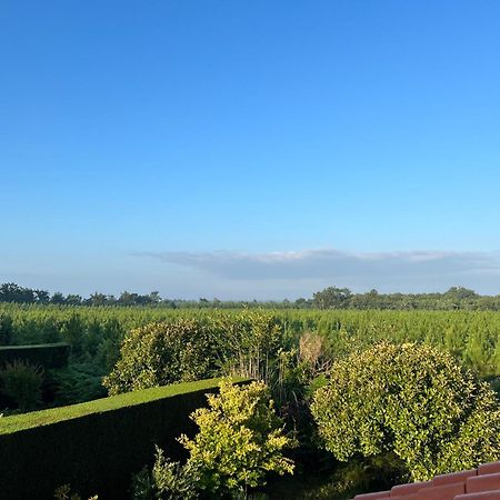 Jolie Maison De Vacances Avec Terrasse Et Jardin Saint-Julien-en-Born Exterior photo