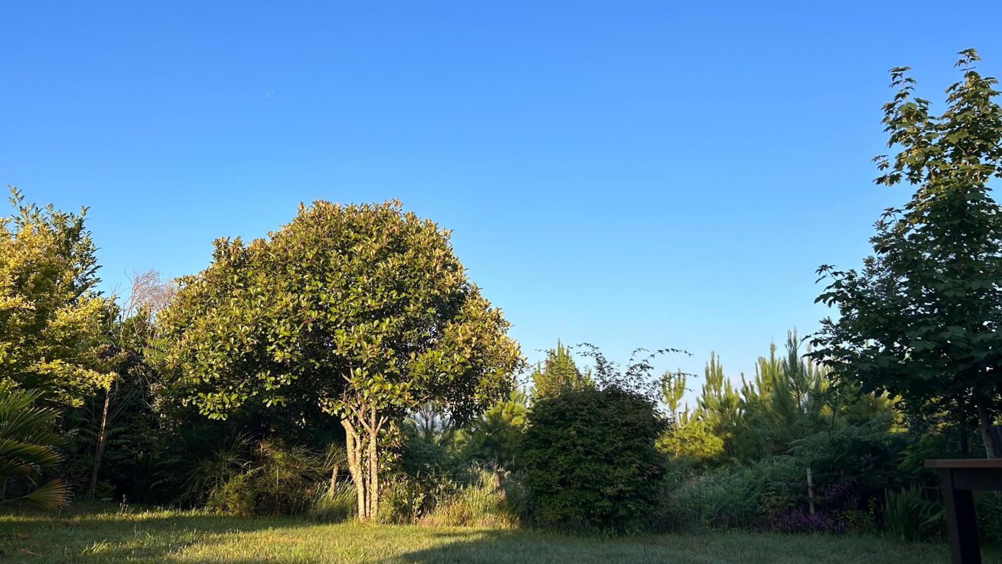 Jolie Maison De Vacances Avec Terrasse Et Jardin Saint-Julien-en-Born Exterior photo